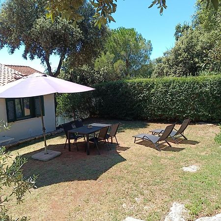 Garden Lägenhet Pjescana Uvala Exteriör bild